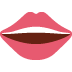 :mouth:
