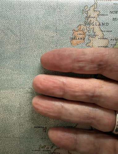 no_fingerprints
