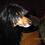 Gussie_WW